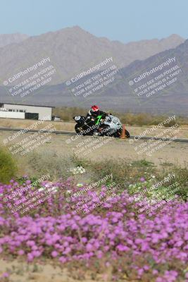 media/Feb-04-2023-SoCal Trackdays (Sat) [[8a776bf2c3]]/Turn 15 Inside Blooming (1050am)/